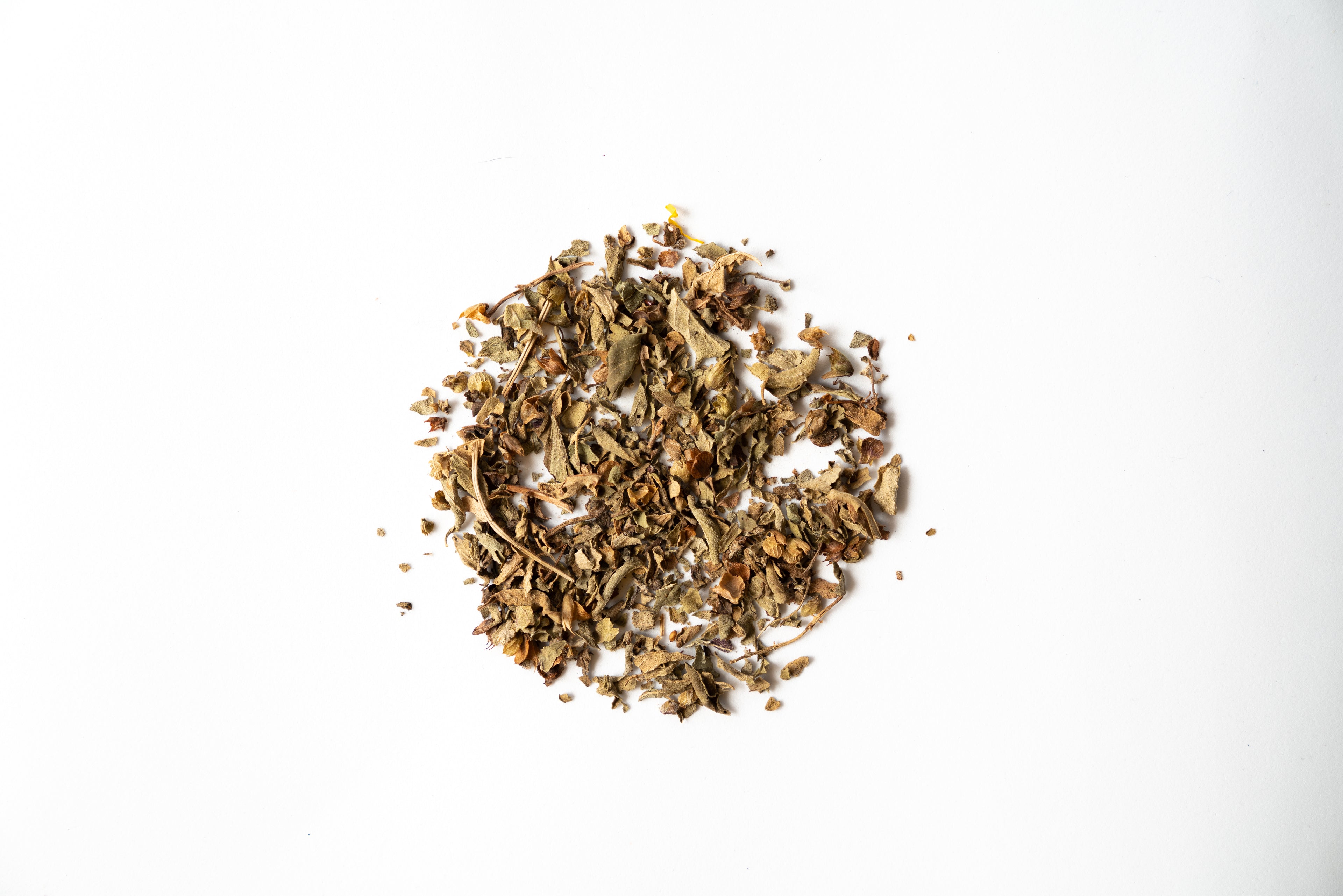 Tulsi ORGANIC